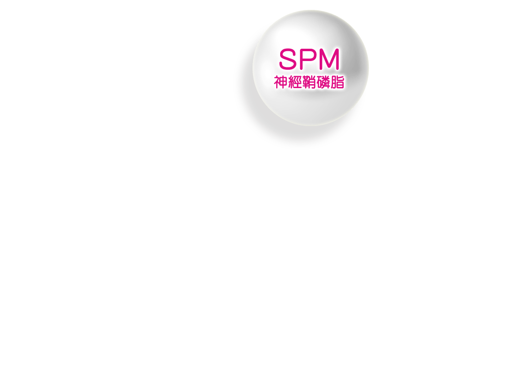 SPM神經鞘磷脂